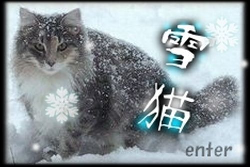 C恙